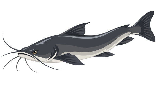 Flat Vector Catfish Illustration with Dynamic Swimming Pose Isolated on White Background