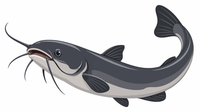 Flat Vector Catfish Illustration with Dynamic Swimming Pose Isolated on White Background