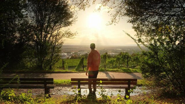 Man walking up to a bench, sitting down and watching the landscape and setting sun in the picturesque countryside, with silhouettes of trees framing the scene