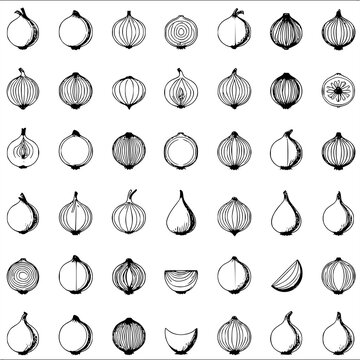 Hand drawn vintage onion vector illustrations set, isolated detailed black line art sketch collection of whole, halved, sliced onions, shallots, and cloves for culinary design, menu, and packaging