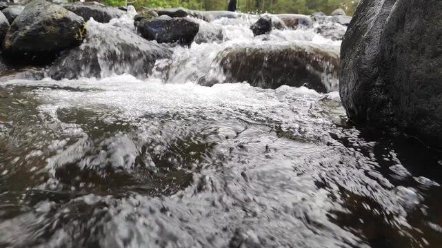 Flowing Creek with Smooth Stones: A close-up shot captures the dynamic movement of water flowing over smooth, wet stones in a natural creek, highlighting the beauty of this serene landscape.