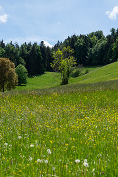 Blick ins T&auml;li