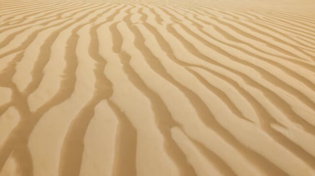 Sand Dune Wind Pattern with Rippled Sand and Desert Texture in Flowing Desert Ridges