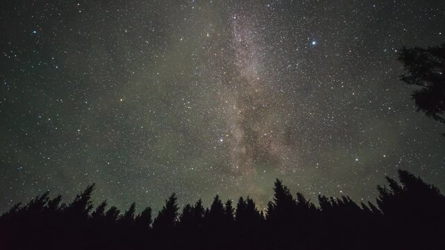 The Milky Way in the night sky above a coniferous forest, time‑lapse