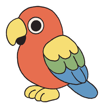 parrot bird cute tropical animal