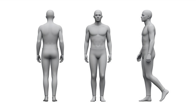Three views of a male human body figure in grey, showing back, front, and side profile on a plain white background