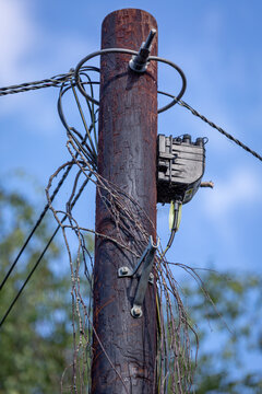 Pole Mounted Telecommunications Distribution Box and Network Cables on a Wooden Utility Pole