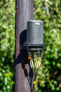Fibre Optic Telecommunications Distribution Box Mounted on a Wooden Utility Pole With Network Cables