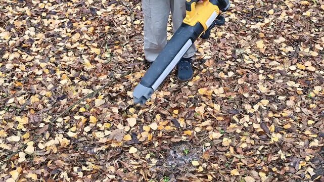 Teenage girl using a leaf blower to clear fallen leaves in autumn. Seasonal yard and garden cleanup, outdoor work, property maintenance, and fall home care.