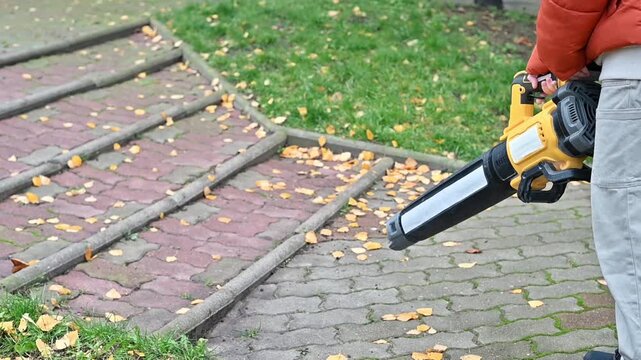Teenage girl using a leaf blower to clear fallen leaves in autumn. Seasonal yard and garden cleanup, outdoor work, property maintenance, and fall home care.