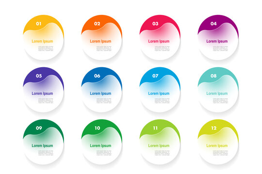 infographic elements template, business concept with 12 steps, circle shapes design with multi gradient color label for workflow layout, diagram, annual report, vector