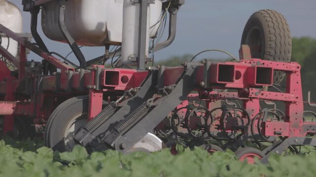 Agricultural Inter-row cultivator performing mechanical cultivation and weed control between rows of young sunflower plants in an agricultural field. slow motion ProRes 422 10 bit C-LOG video.