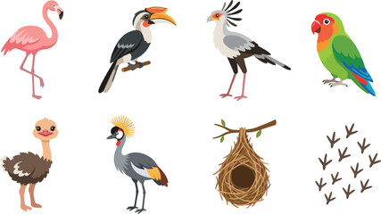 Fototapeta premium Colorful Exotic Birds and Nest Wildlife Vector Illustration Collection