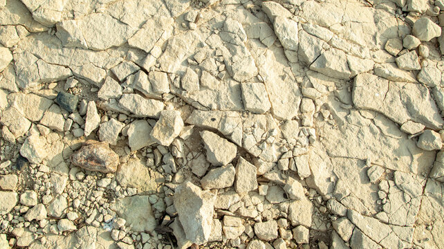 the bottom of a dried-up sea from the Mesolithic era on a sunny day