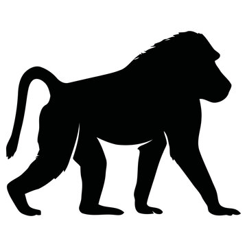 Detailed black silhouette of a baboon walking forward captured as a clean digital vector illustration for your creative design projects