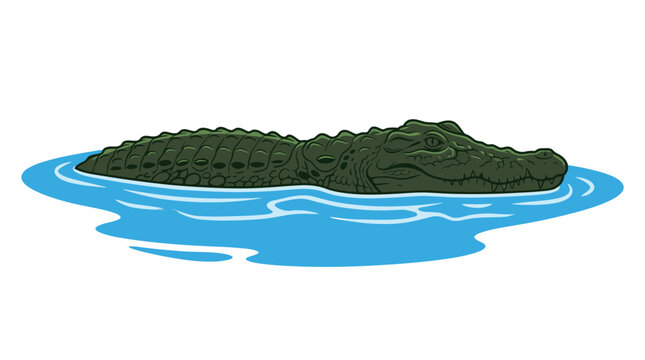Green alligator vector illustration lurking in blue water ripples graphic design element