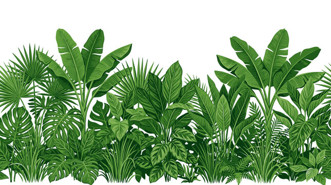 Vector tropical plants border illustration featuring palm leaves monstera and banana foliage