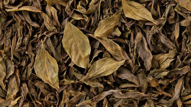 Pile of Dried Bay Leaves and Tea Herbs Close Up