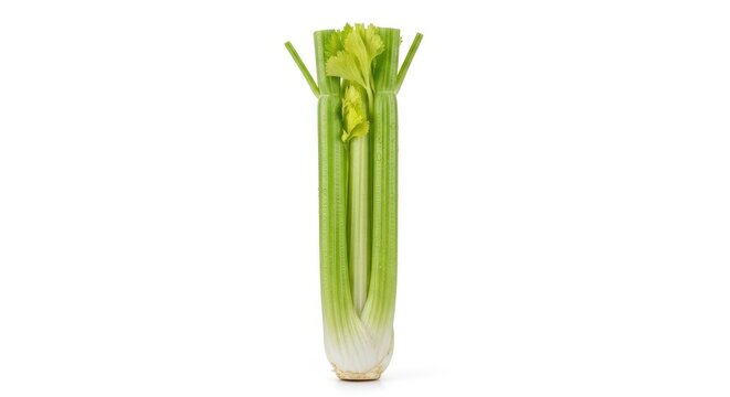 Fresh Green Celery Stalk Isolated On White Background