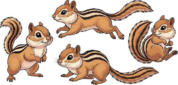 vector illustration clipart of chipmunk with 5 poses semi realistic art style 01