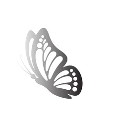 Obraz premium Butterfly Decorative Silhouette Illustration