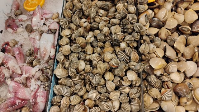 Top-down of fresh seafood displayed on crushed ice in a market, featuring raw squid, blood cockles, and various clams in separate metal bins.