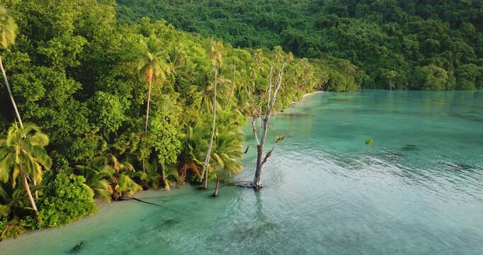 Lush tropical jungle and palm trees line the pristine turquoise waters of a tranquil lagoon on Tegua Island, Torres Islands, Vanuatu, creating a remote and idyllic escape and remote travel paradise