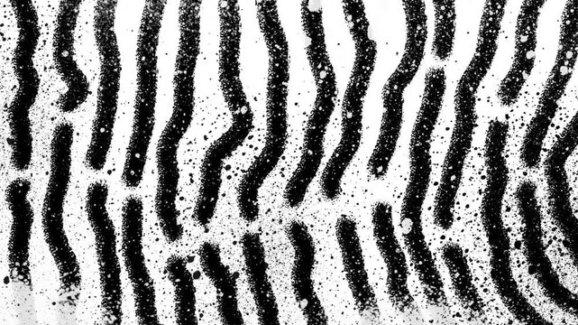 Black and white organic wavy pattern loop with abstract textured grunge and ink splatter background