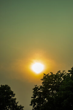 Golden sunset sun disk glowing behind dark silhouette forest trees.