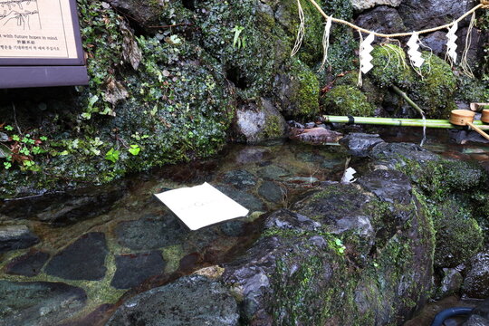 Water Fortune Slip Floating in the Sacred Water at Kifune Shrine in Kyoto, Japan