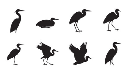 Fototapeta premium Heron and egret silhouettes collection presenting graceful long necked water birds in standing and flying poses.