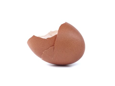 Empty cracked brown chicken eggshell standing on a clean white background. Perfect macro image for food, cooking, baking ingredients, farm products, fragile concepts, and culinary preparation