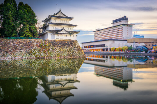 Nagoya, Japan castle moat at twilight