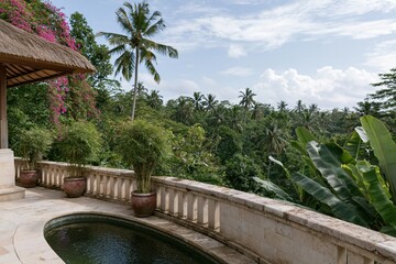 Obraz premium The Tropical Terrace Overlooking Lush Jungle with Poolside Balcony at Dawn