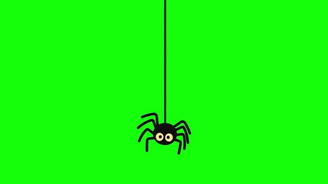 Animated black spider with big eyes hanging on a thread, isolated on chroma key green background.
