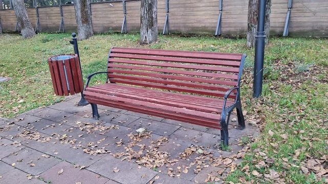 Empty wooden bench on a paved path in a park. Quiet outdoor rest, urban leisure, peaceful place, everyday lifestyle, autumn season.