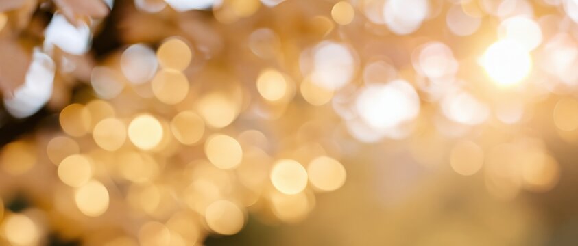 The Golden Light Bokeh Scene in Warm Sunset Ambience with Soft Glow