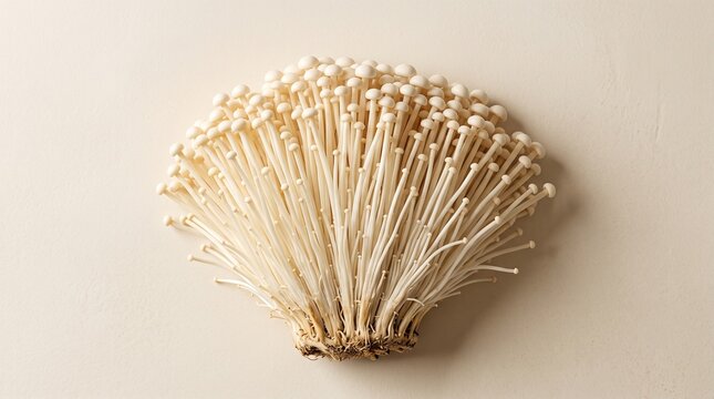 Fresh enoki mushrooms on beige background, raw golden needle mushroom cluster, organic flammulina velutipes for cooking