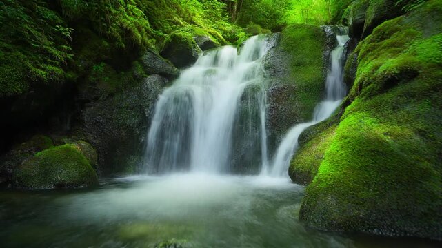 Beautiful long exposure waterfall in lush green mossy forest
