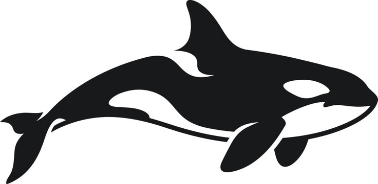 Orca Whale Silhouette Vector Ocean Sea Animal Icon Marine Life Graphic Design Killer Fish Symbol Black White Illustration