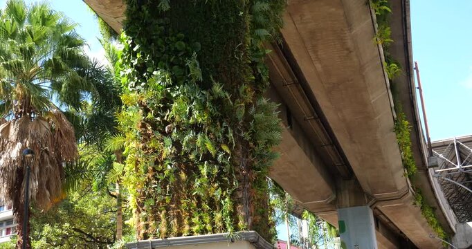 Vertical garden on the columns of a railway bridge  in Medellin, Colombia. Such gardens improve air quality by trapping dust, removing C02, releasing oxygen and provide a wildlife habitat