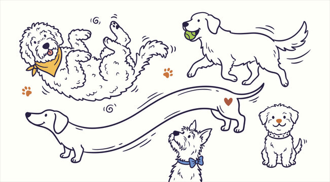 Playful dogs set with extra long dachshund rolling goldendoodle and retriever fetch