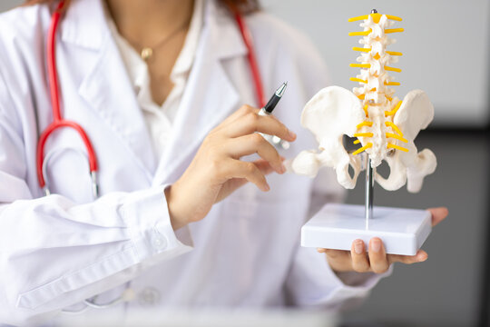 Doctor explaining human spine and pelvis anatomy during online consultation.