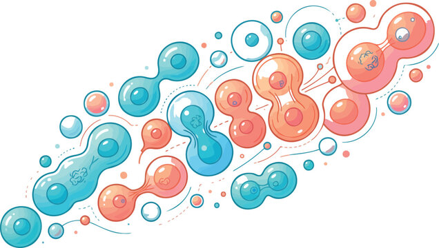Cell Division Mitosis and Biological Stem Cell Regeneration Concept Vector