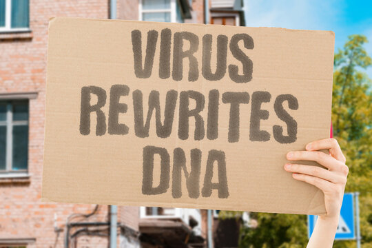 "Virus rewrites DNA" Viral integration alters host genetic material permanently. BIOLOGY. VIROLOGY. GENETICS. INFECTION. CONSEQUENCE.