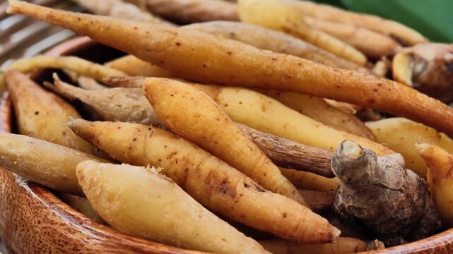 Fresh fingerroot rhizomes showing their natural roots and earthy texture, highlighting this aromatic Thai culinary ingredient.
