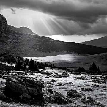 Light rays over a meadow in Bucegi Mountains during the day