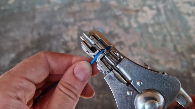 The master removes the insulation from a copper cable with professional stripping pliers (stripper). The concept of wiring repair, safety and electrical engineering