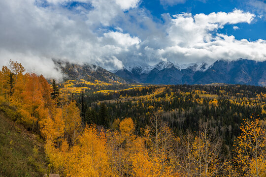 Aspen tree valley with cloud covered mountains