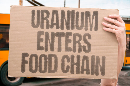 "Uranium enters food chain" Bioaccumulation through agricultural systems. CONTAMINATION. BIOACCUMULATION. FOOD. AGRICULTURAL. EXPOSURE.